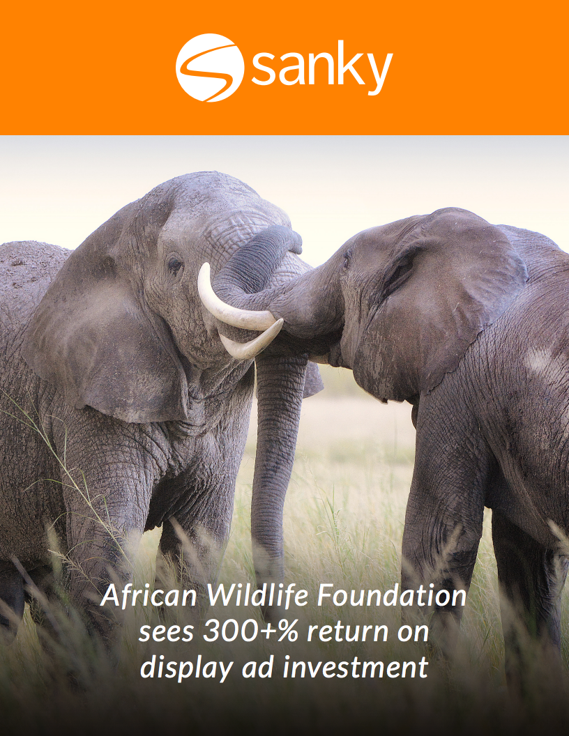 Elephant  African Wildlife Foundation