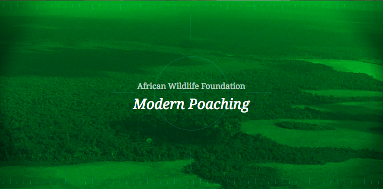 African Wildlife Foundation, Modern Poaching