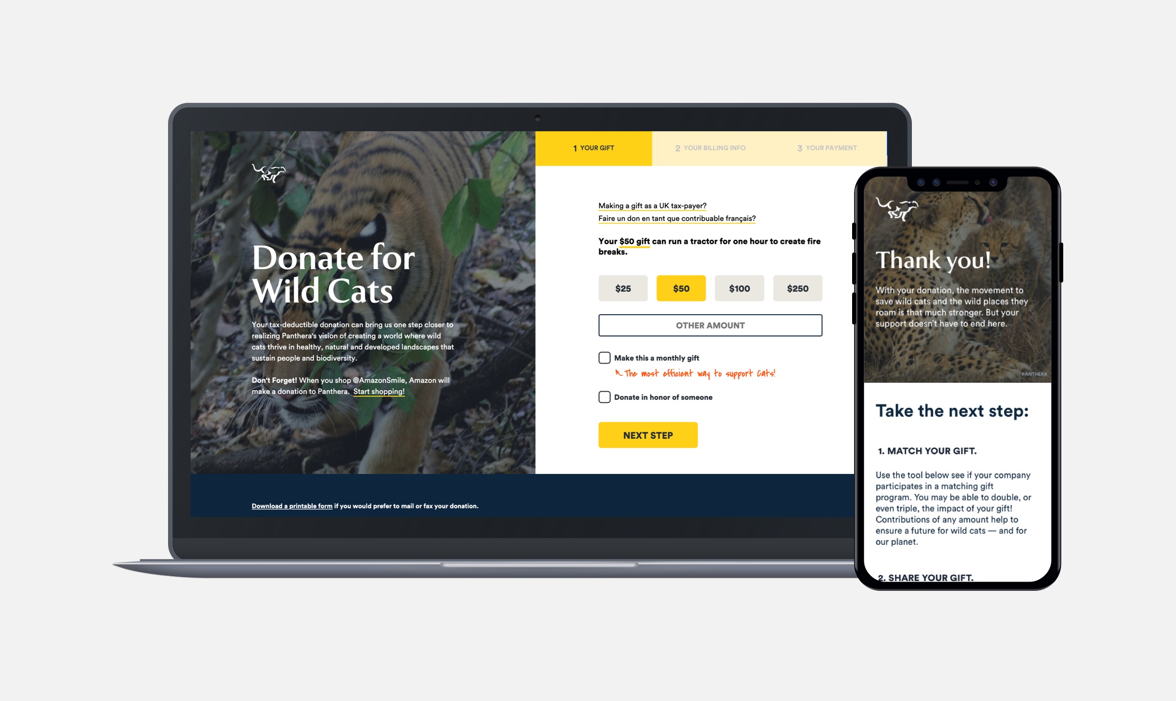 Panthera donation form mockup