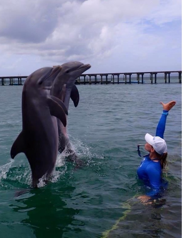 Kristy Cantú training dolphins